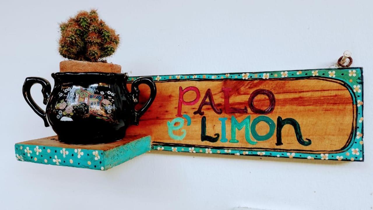 Hermoso Palomino Kültér fotó