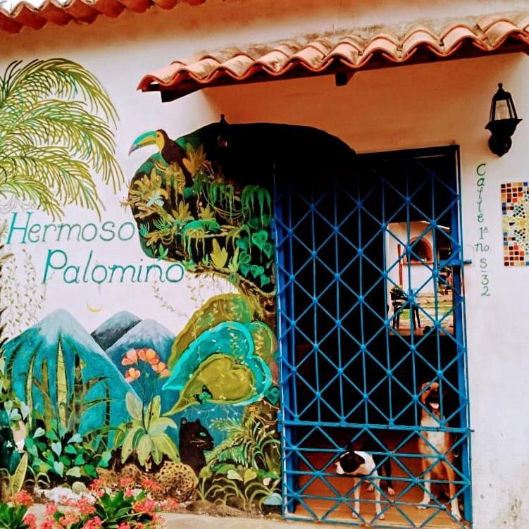 Hermoso Palomino Kültér fotó